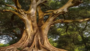 tree news