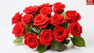NATIONAL RED ROSE DAY 2025