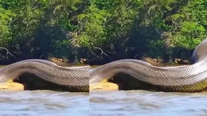 viral cobra ai video
