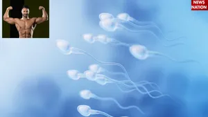 Sperm Quality