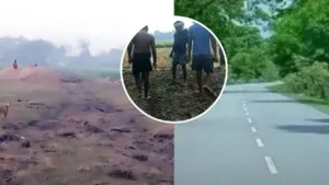 viral news bihar