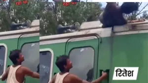 viral indian train video