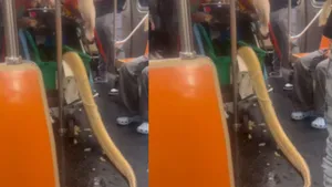 Viral News metro