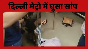 Snake In delhi Metro
