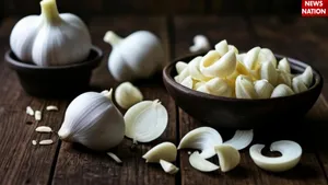Garlic
