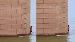 VIRAL VIDEO STUNT BRIDGE