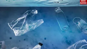 Plastic