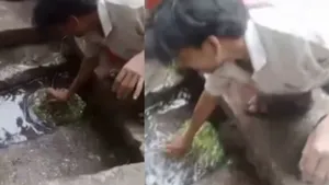 Viral video trending