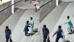 lion attacked video