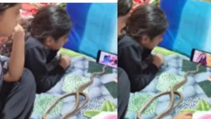 viral video snake watching mobile