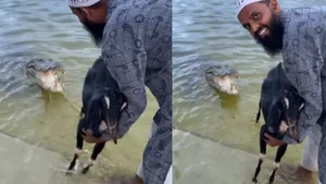 viral stunt with crocodile