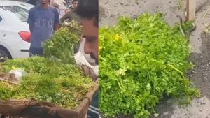 vIRAL VIDEO