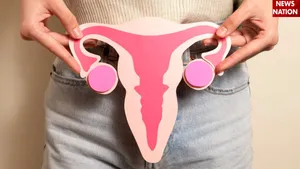 vagina