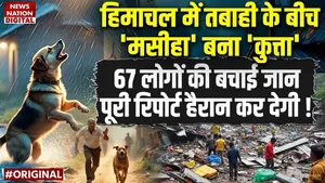 Himachal Disaster