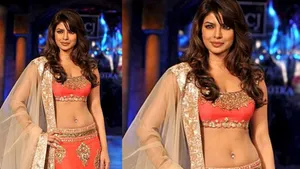 this director revealed Priyanka Chopra was not naturally beautiful she had undergo nose surgery for