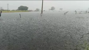 Dholpur heavy rain