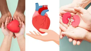 body parts