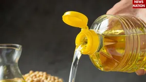 Seed oils