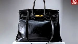 _hermes birkin bag