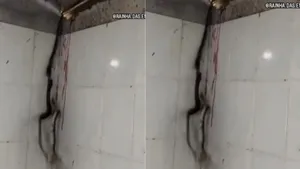 snake shoot video