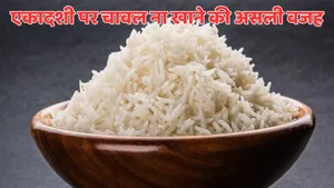 Why we do not eat rice on Ekadashi know here scientific-reasons and religious reason