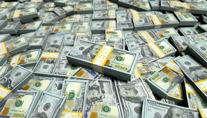 US dollar may no longer be the sole anchor in the global currency this year: Report