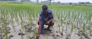 बिहार: वैशाली में केंद्र की योजना से जयकिशुन को मिला पक्‍का घर, रणधीर कर रहे उन्‍नत खेती