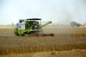 Amritsar: Farmers use a combine harvester to harvest wheat crop