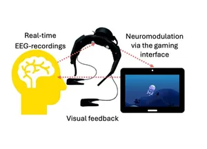 Australian researchers develop brain training game for drug-free pain relief (Photo: UNSW)