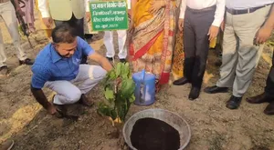 विश्व पर्यावरण दिवस पर सबौर बिहार कृषि विश्वविद्यालय में 200 सिन्दूर के पौधे लगाए गए