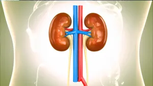 Prior Covid vaccination proved beneficial for acute kidney injury patients: Study