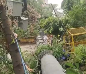दिल्ली: पहली आंधी में धराशायी हुआ 100 फीट लंबा मोबाइल टावर, स्थानीय लोगों में गुस्सा