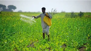 Total area sown under kharif crops crosses 89 lakh hectares so far