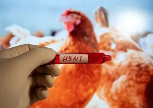 Cambodia records seventh human case of H5N1 bird flu in 2025