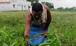 प्रधानमंत्री किसान सम्‍मान योजना किसानों के लिए वरदान साबित हो रही, मिल रही आर्थिक मजबूती