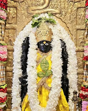 Vasudev Dwadshi 2025