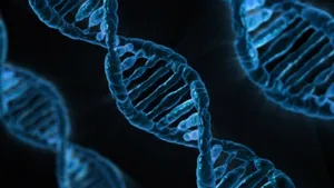 DNA.