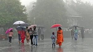 Telangana Rain: తెలంగాణలో ఉరుములు మెరుపులతో దంచికొడుతున్న వర్షం.. ఈ జిల్లాలో దారుణం! (వీడియో)