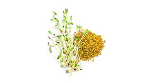 Fenugreek Sprouts: మెంతులు మొలకలు సహజ సూపర్ ఫుడ్.. తింటే ఏమవుతుంది..?