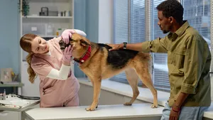 Rabies: కుక్క గోళ్ల గీతల వల్ల రేబిస్ వస్తుందా..? ప్రాణాంతక వ్యాధి నిజాలు ఇవే