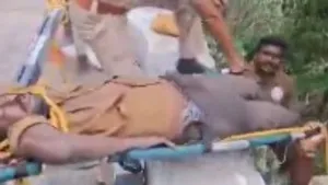 BIG BREAKING: తిరుమలలో కలకలం.. లోయలో దూకిన భక్తుడు