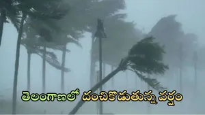 Telangana Rain Update: తెలంగాణలో భారీ వర్షం.. ఈ జిల్లాల్లో దంచుడే దంచుడు