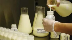Adulterated Milk: హైదరాబాద్‌లో కల్తీపాలు.. లీటర్ ఎంతంటే..?