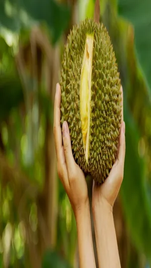 ప్రపంచంలో అత్యంత దుర్వాసనగల పండు తెలుసా..?