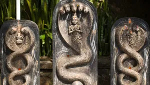 Naga Panchami 2025: నాగ పంచమి నాడు ఈ వస్తువులను అస్సలు వాడకండి