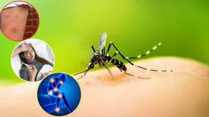 Dengue Fever Symptoms: ఈ లక్షణాలు మీకూ ఉన్నాయా?.. డెంగ్యూ ఫీవర్ కావచ్చు!
