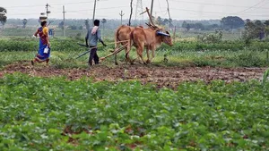 Farmer: 18 ఏళ్లు దాటిన రైతులకు రూ.5 లక్షలు.. 3 రోజులే సమయం