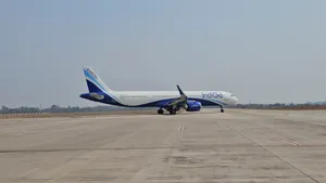indigo flight pic post image