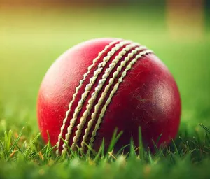 cricket ball post image