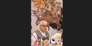 Big cat story pic 1 post image